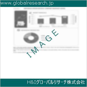 グローバルリサーチ調査資料のイメージ